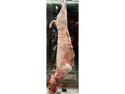 ΑΡΝΙΑ ΕΛΛΗΝΙΚΑ (ΤIMH ΚΙΛΟY)