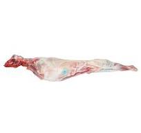 ΑΡΝΙΑ ΕΛΛΗΝΙΚΑ (ΤIMH ΚΙΛΟY)