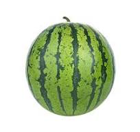 ΚΑΡΠΟΥΖΙ ΜΙΝΙ ΕΛΛ(ΚΙΛΟ)