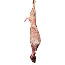 ΚΑΤΣΙΚΙΑ ΕΛΛΗΝΙΚΑ (ΤIMH ΚΙΛΟY)