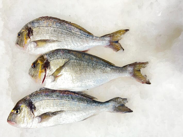 ΤΣΙΠΟΥΡΑ SPARUS AURATA ΥΔΑΤ 0. 3-0. 4KG