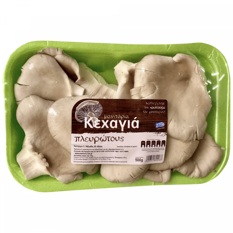 ΚΑΣΤΑΝΑ ΒΡΑΣΜΕΝΑ ΕΙΣΑΓ. 400GR ΝΕΑ ΣΟΔ